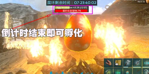 方舟生存进化怎么孵蛋 孵蛋方法介绍 方舟生存进化怎么孵蛋 孵蛋方法介绍