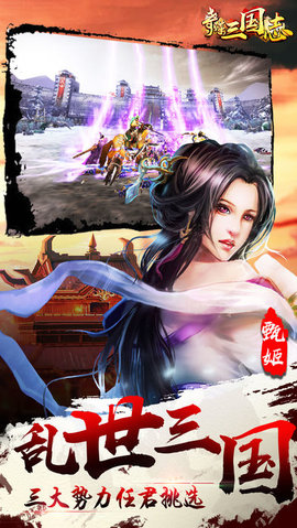 奇谋三国志