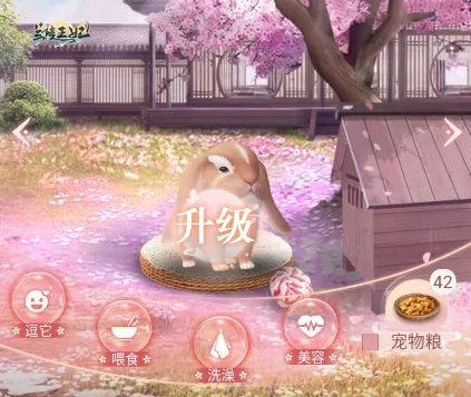 萌宠喂养大学问，《兰陵王妃》教你如何正确使用宠物粮！