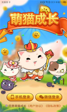 萌猫成长