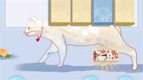 逃跑的猫