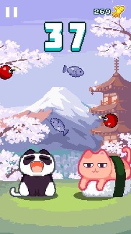 吧唧的猫
