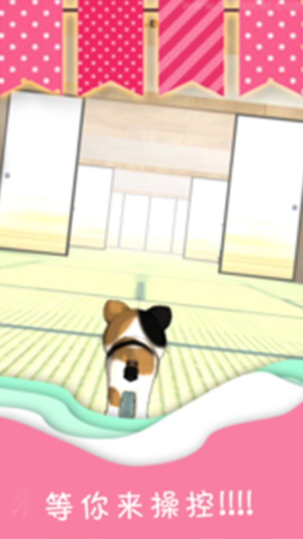 萌喵猫跑跑