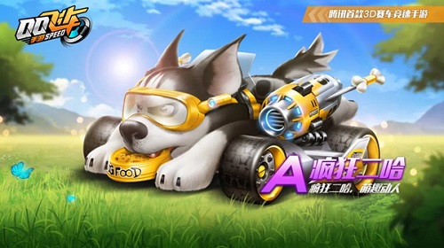 qq飞车手游A车疯狂二哈怎么样 疯狂二哈详解介绍