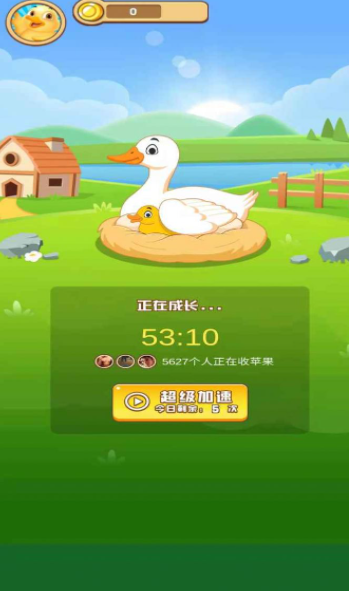 欢乐养鸭