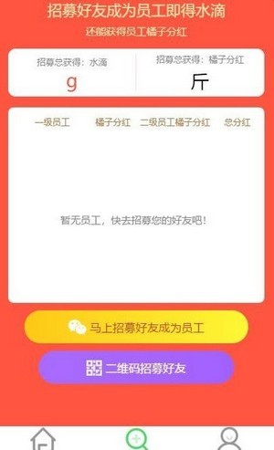 桔子树