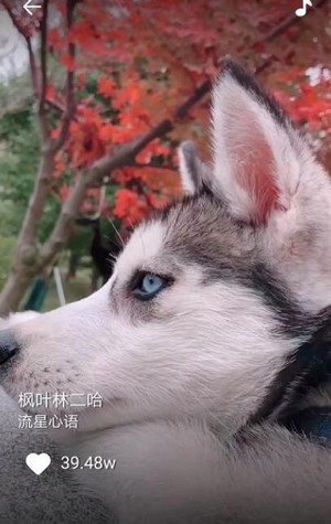 火币官网地址