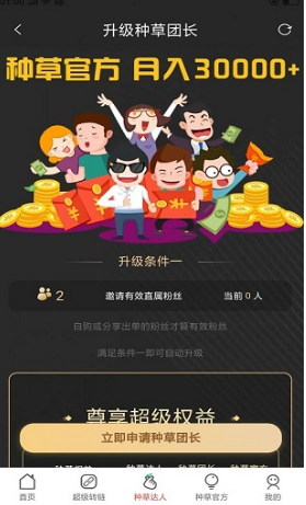 种草创业