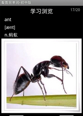 看图背单词