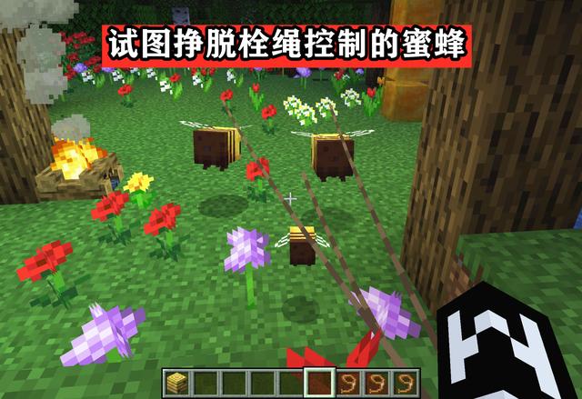 我的世界可以养蜜蜂吗 MC怎么把蜜蜂带回家介绍