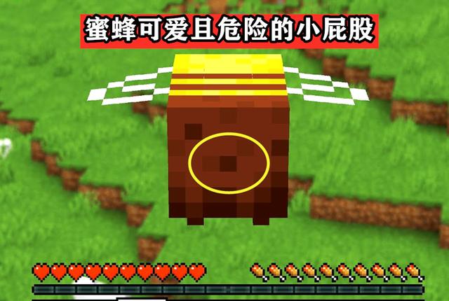 我的世界可以养蜜蜂吗 MC怎么把蜜蜂带回家介绍