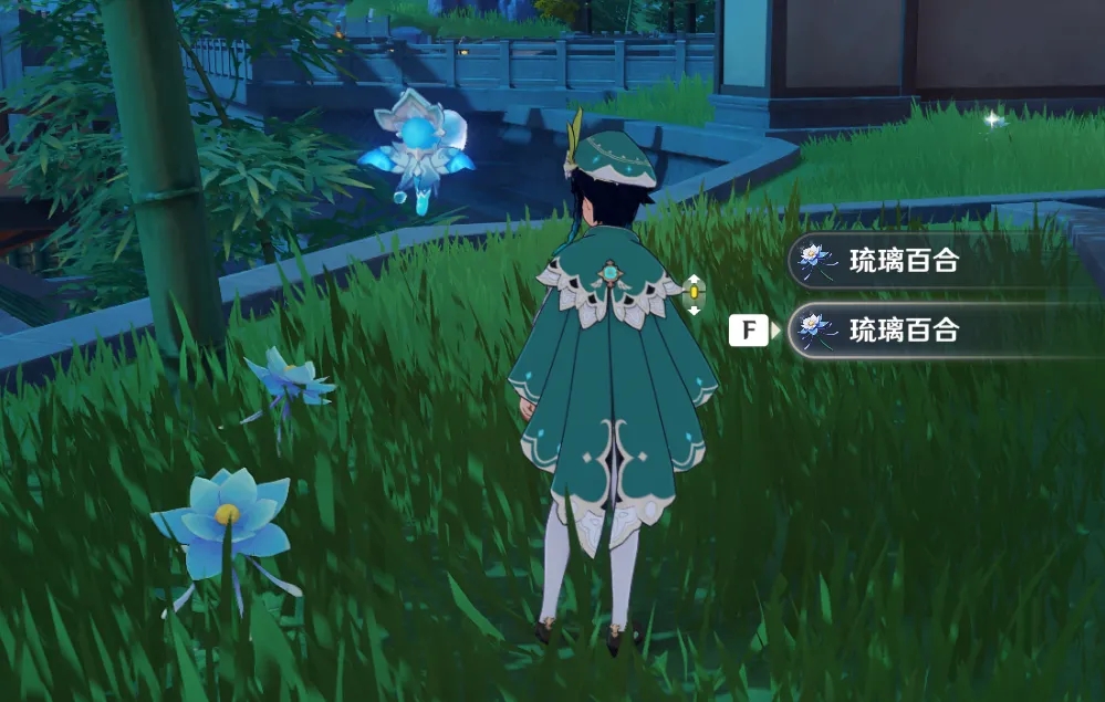 原神琉璃百合在哪里采 琉璃百合最新采集攻略 原神琉璃百合在哪里采 琉璃百合最新采集攻略
