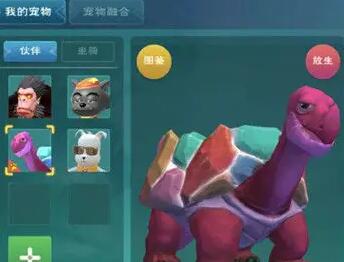 创造与魔法熔岩龟的伤害怎么样