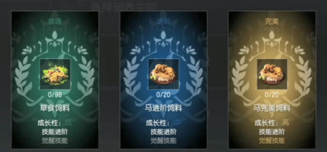 黑暗与光明马在哪儿