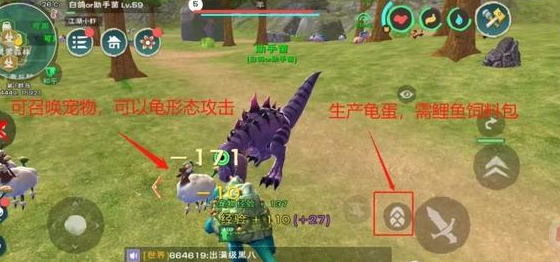 创造与魔法龟蛋怎么得 创造与魔法龟蛋怎么得