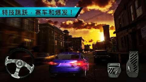 王牌停车手