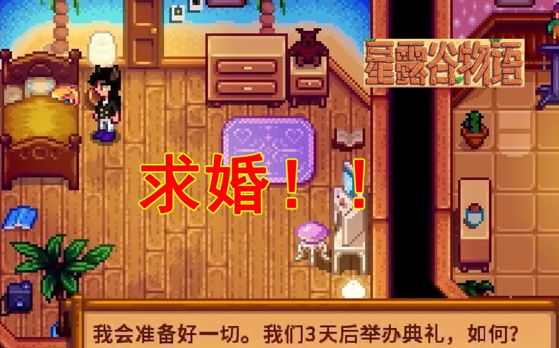 星露谷物语如何和海莉求婚