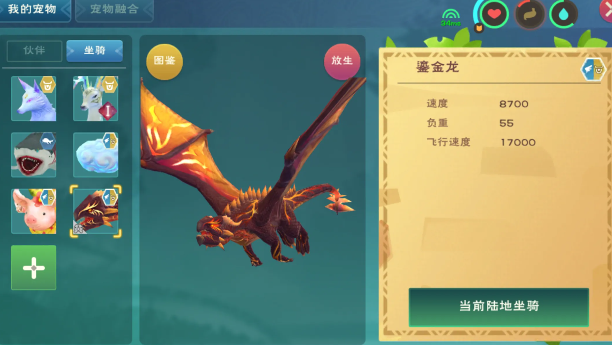 创造与魔法怎么抓龙
