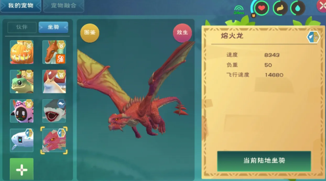 创造与魔法怎么抓龙 创造与魔法怎么抓龙