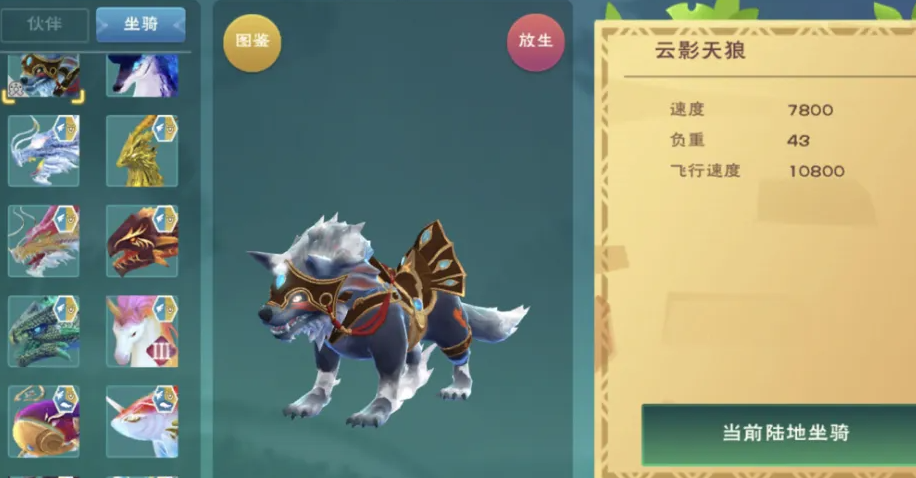 创造与魔法什么样的坐骑速度快 创造与魔法什么样的坐骑速度快