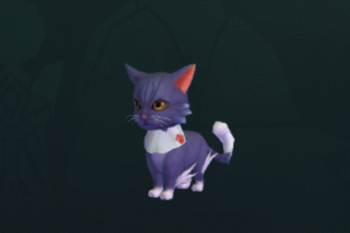 创造与魔法猫在哪猫怎么捕捉