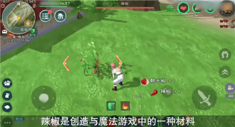 创造与魔法辣椒在哪里刷最多