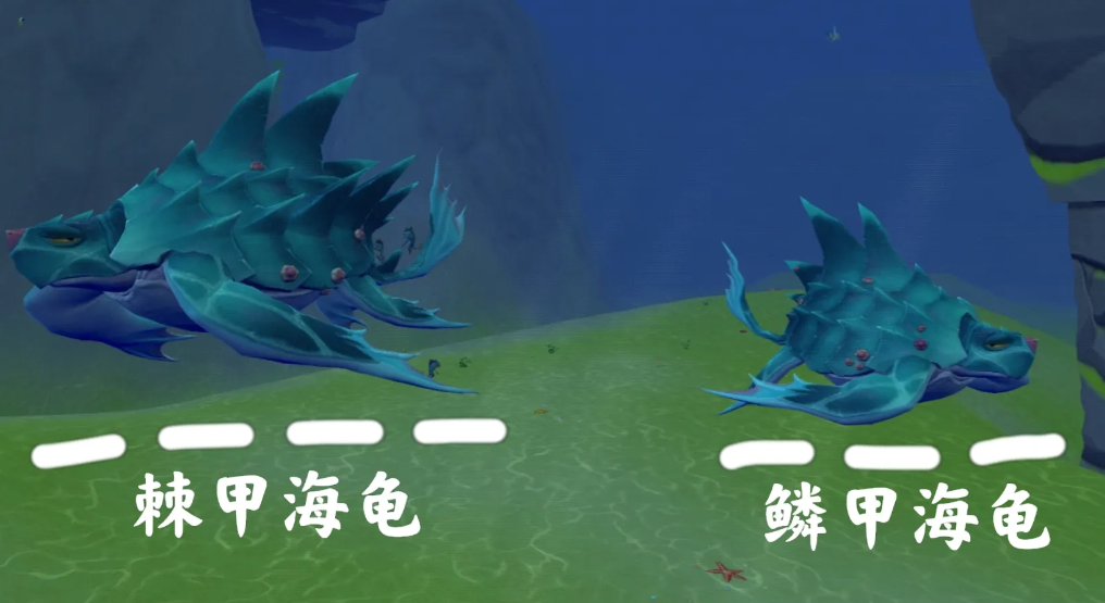 创造与魔法鳞甲海龟怎么抓