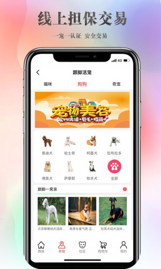 知易车宝典