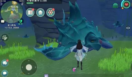 创造与魔法坐骑大全快的坐骑刷在哪 创造与魔法坐骑大全快的坐骑刷在哪