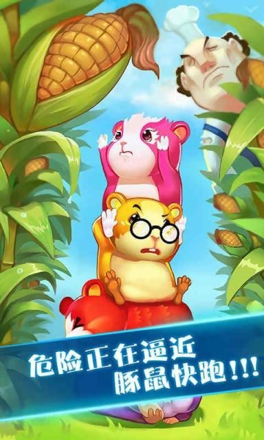 奔跑吧豚鼠