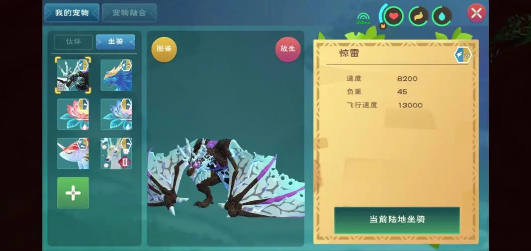 创造与魔法熊怎么驯服