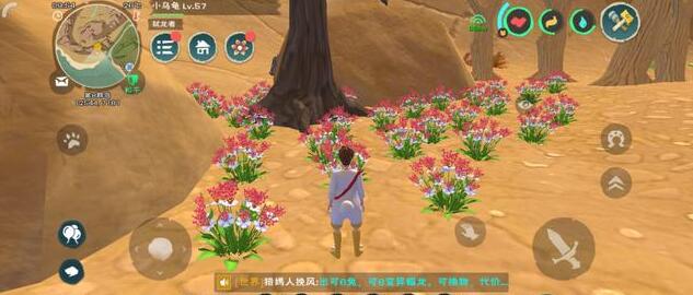 创造与魔法花椒和胡椒的位置 创造与魔法花椒和胡椒的位置