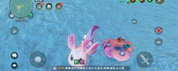 创造与魔法中的珊瑚在哪里