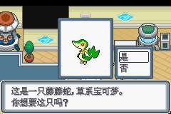 口袋妖怪白金二周目怎么完成