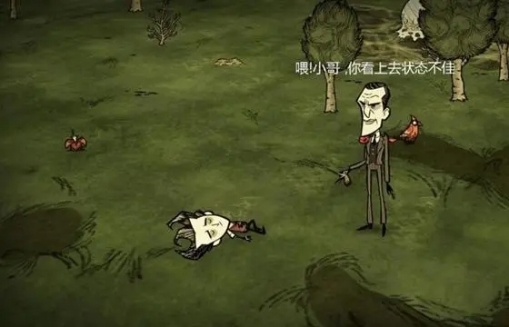 饥荒前期怎么建家