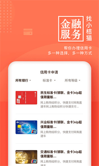 小桔猫
