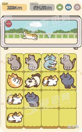 吸猫2048