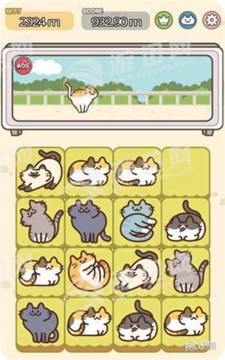 吸猫2048
