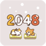 吸猫2048