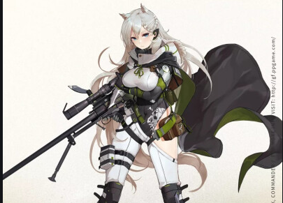 少女前线aa12专属装备