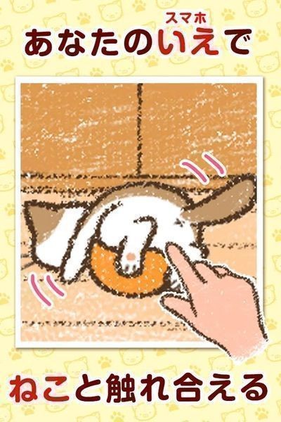 治愈的猫猫收集中文版