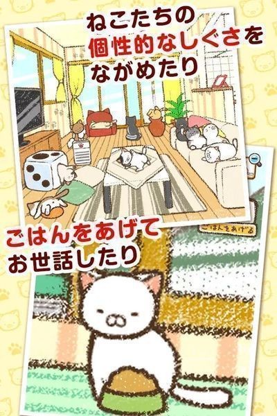 治愈的猫猫收集中文版