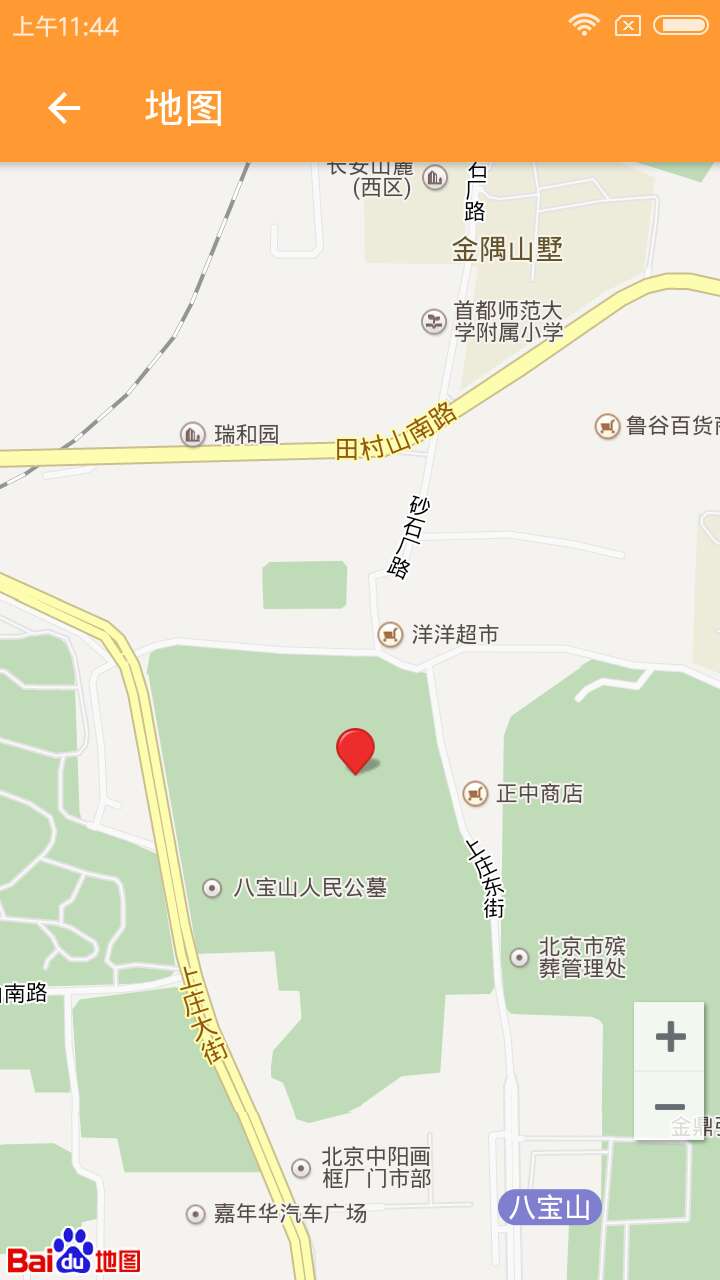 乐闲蚁