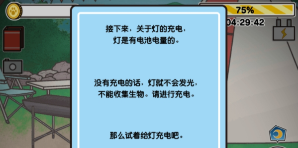 猫咪发光灯