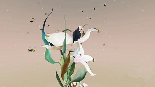 百合花游戏