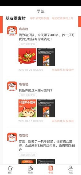 粉红猫