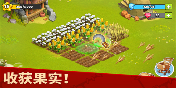 家庭岛-农场