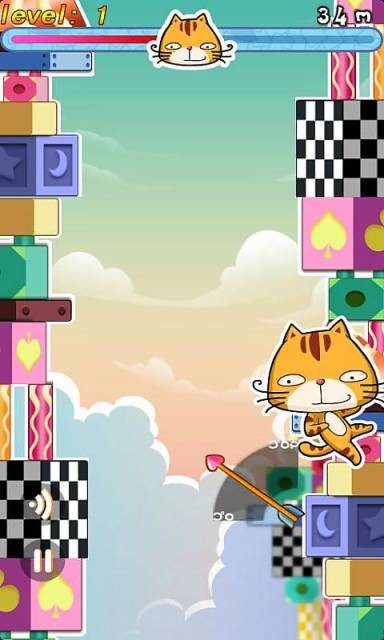 小猫天天向上