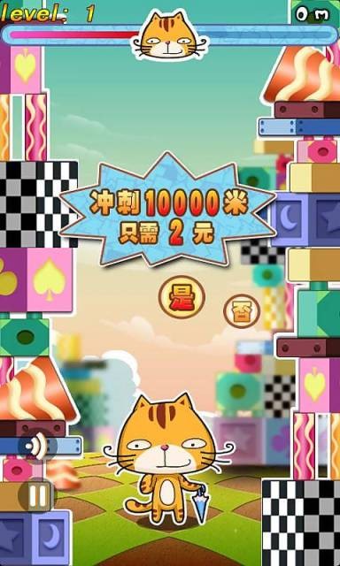 小猫天天向上