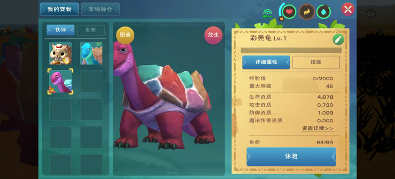 创造与魔法怎么抓龟 创造与魔法怎么抓龟